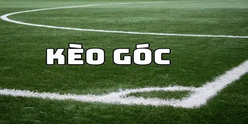 Hướng dẫn đọc hiểu các loại kèo phạt góc thường gặp trong cá độ bóng đá Hướng dẫn đọc hiểu các loại kèo phạt góc thường gặp trong cá độ bóng đá