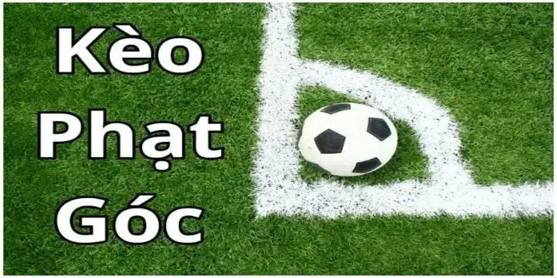 Những yếu tố quyết định số lượng phạt góc trong kèo phạt góc Những yếu tố quyết định số lượng phạt góc trong kèo phạt góc