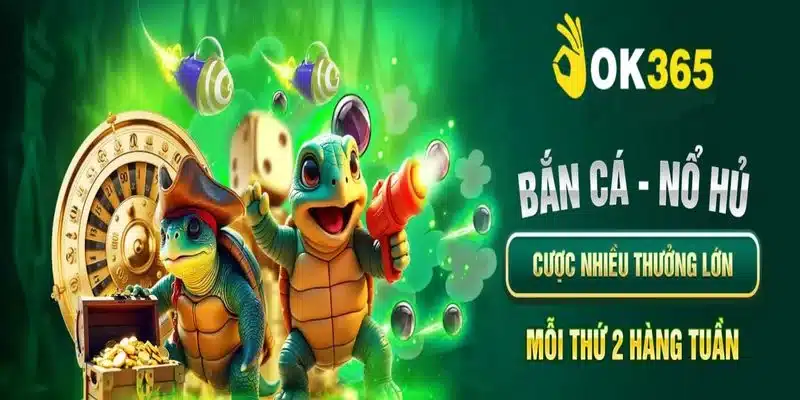OK365 tặng 365K có điều kiện gì? Những quy định bạn không nên bỏ qua OK365 tặng 365K có điều kiện gì? Những quy định bạn không nên bỏ qua